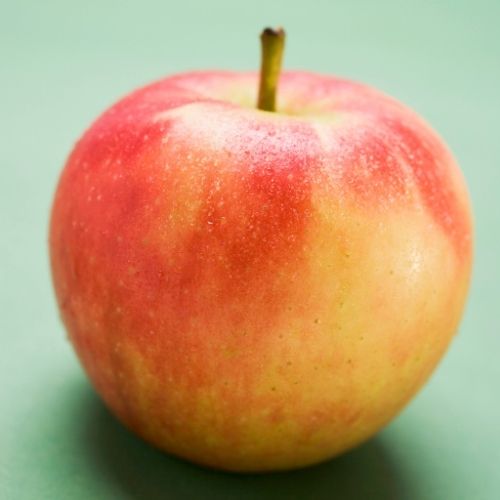 Elstar - Afbeelding 2